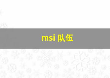 msi 队伍